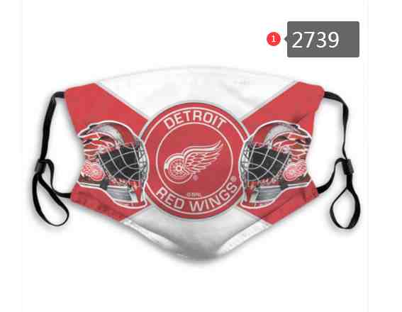 Detroit Red Wings NHL Hockey Teams Waterproof Breathable Adjustable Kid Adults Face Masks  2739