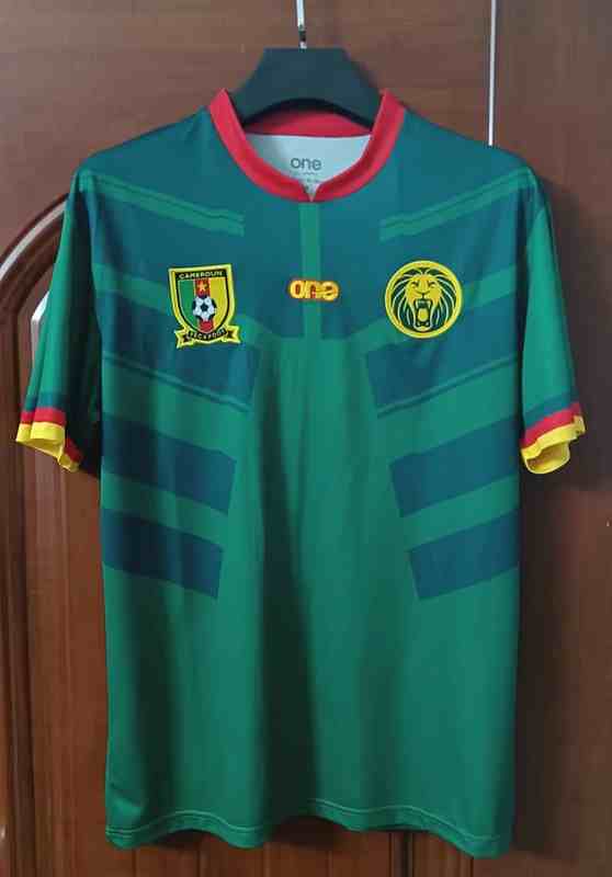2022 World Cup Cameroon home