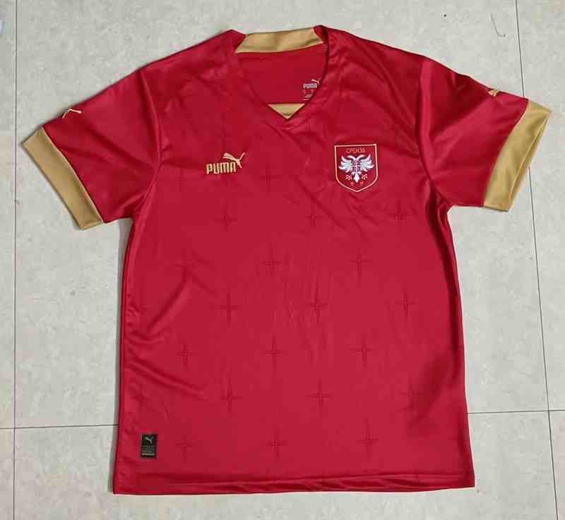 2022 World Cup Serbia home