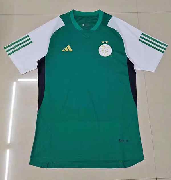 Men's Algeria 2023-24 Green white Player version Custom Replica Jersey