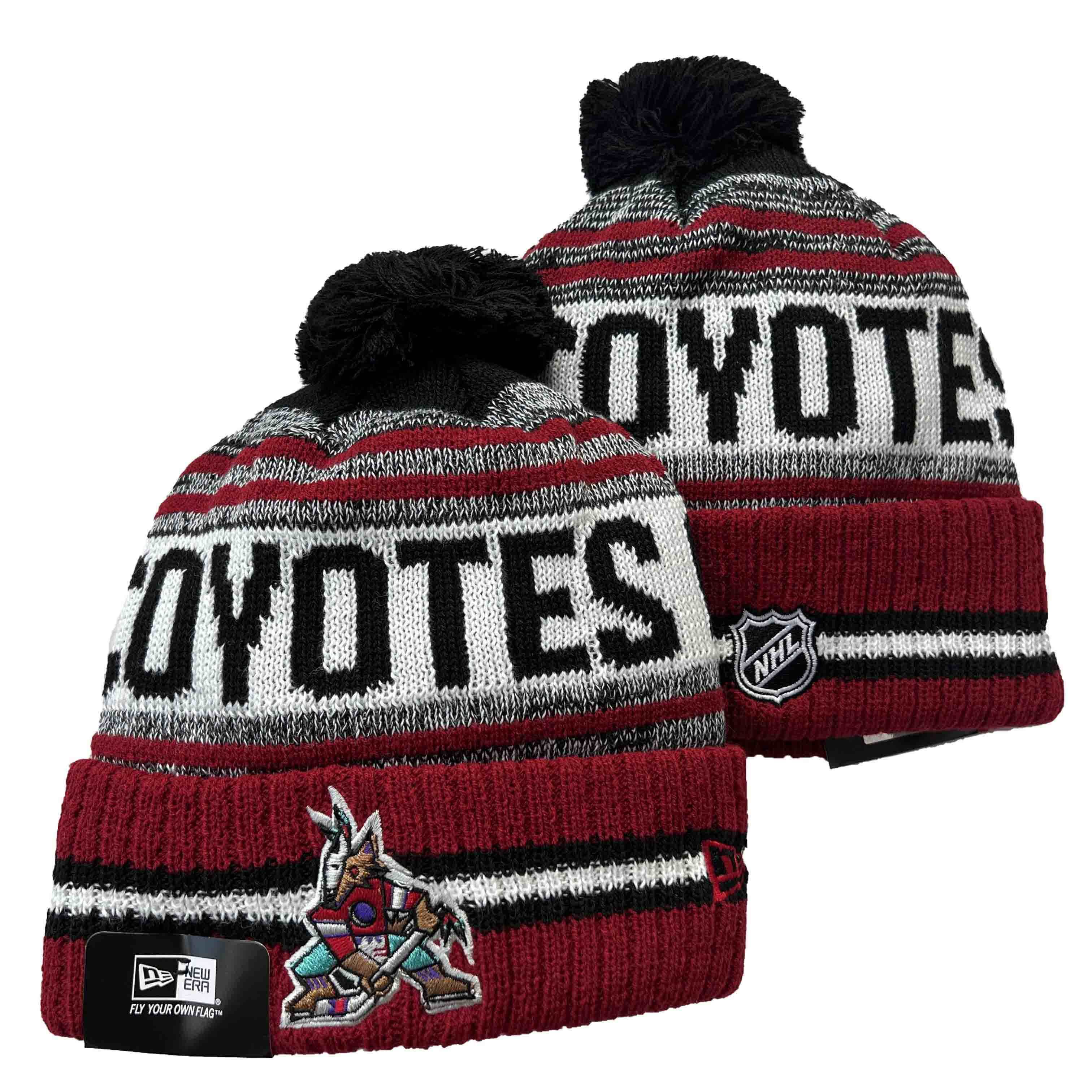 Arizona Coyotes knit hat YD1