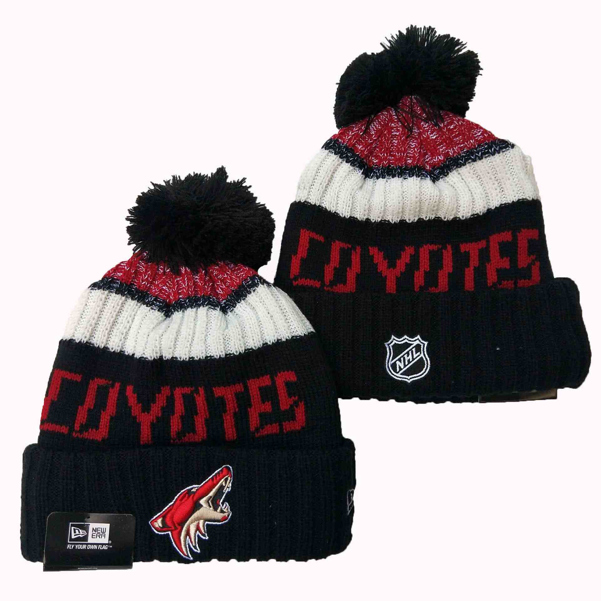 Arizona Coyotes knit hat YD