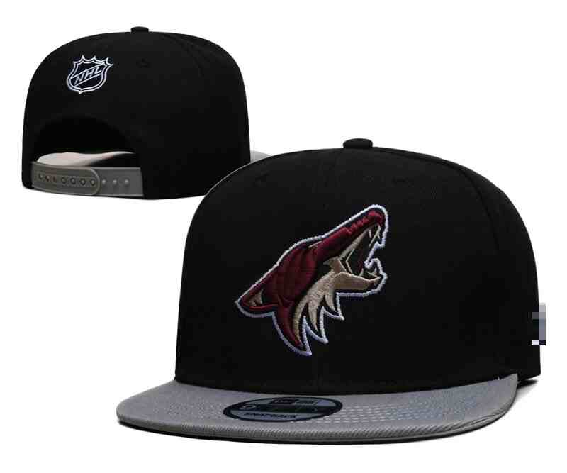 Arizona Coyotes Snapback CAP TX